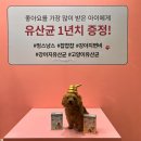 (주)이펫티브 | 2022 케이펫페어 일산 메가주 관람 후기