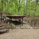 구룡천2 이미지