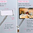 맥인테리어 - 용인시 기흥구 보정로 30 | 쿠팡) 디테일 좋았던 아르디스 헤드3개 맥세이프 스탠드 거치대 후기