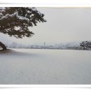 서울복사 이미지