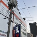 [마산 어시장 대게 직판장] 용마 횟집 내돈내산 또간집