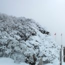 겨울나그네 이미지