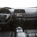 보니리프