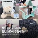 속으로･:*₊‧✩ 샬롬클럽 버디버디 더현대 팝업 구경...PURO STAR BAG 구매 후기 | 하이츠 샤키리 피팅