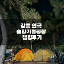 솔향기 | 강릉 연곡 솔향기캠핑장 여자 캠핑 후기