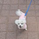 연금복권 284회 당첨번호예측패턴^^ 이미지