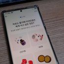 2월 26일 토스 두근두근 1등찍기 정답 농축산 오전 오후 혜택까지 한눈에 확인