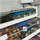 백사장회센타 이미지