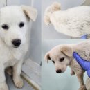 조산1길 이미지