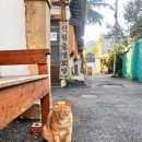 신월중경로당 이미지