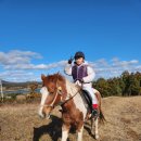 오케이승마장 이미지