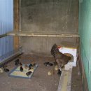 나무아래집 이미지