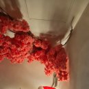 랑데자뷰건대 이미지