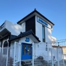 헬로우버디 판교밸리점 | [판교애견유치원]저희 강아지 헬로우버디 판교밸리점 다니고 있는 후기!