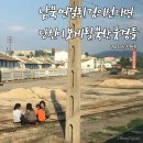 ▶자연과 생활 (2018/12월/4째주) 이미지