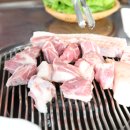 풀밭에 누운 돼지