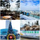 한양카프라자 | 남산하늘숲길로 서울남산타워 오르기(feat. 남산둘레길, 남산팔영, 목멱산방)