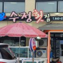 삼보횟집