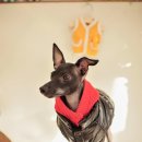 거기조아 이미지