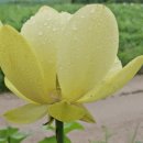 연향농장 이미지