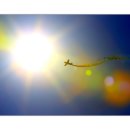 태양을향하여 이미지