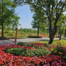 순천만국가정원 이미지