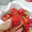 365단골한의원 이미지