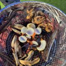 몰타 | [공지] “가평 카라반힐스 풀빌라 펜션” 카라반 몰타 이용 후기