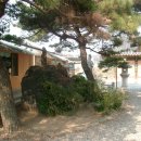 창녕 사리 지석묘 | 대가야 고분군, 우포늪, 창녕 국보탑
