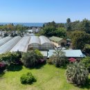 호텔펠리시아 이미지