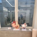 차필라테스 | 동백 필라테스 더노브필라테스 산전필라테스 그룹레슨 후기