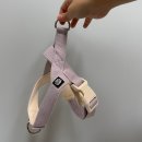 멍발머리 이미지