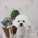 꾸미멍 이미지