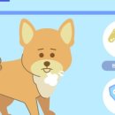 이천종합동물병원 이미지