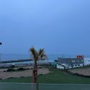 라온힐조5동 | 돌 아기와 제주여행 Day.03 | 제주 라온힐조 판포포구 오션뷰 독채 풀빌라 온수풀 솔직후기 내돈내산