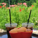 수동목장 이미지