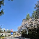 신갈천 상갈동 이미지