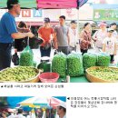 안중장 이미지