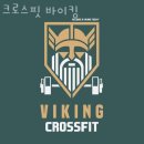 크로스핏바이킹