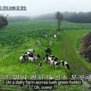 팜팜푸드