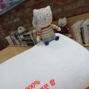 솔터세탁 이미지