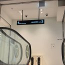 신세계안과의원 | [안과] 서울신세계안과 특수검사 후기