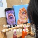 즐거운 아크릴화 | 수원성인취미미술 광교 스타트화실 반려견 아크릴화 원데이클래스