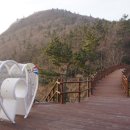 운림목재 - 장흥군 | 운림목재
