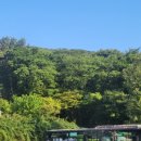 무등로2구간 이미지