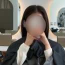 토마토헤어크리닉 | 신창동 염색 미용실 추천 헤어다옴 애쉬브라운 외국애기머리색