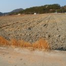 금당면-2 이미지