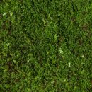 생명예찬1 이미지