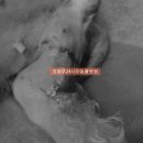 아이유동물메디컬센터 이미지