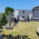 대정중학교 이미지